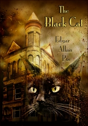 Edgar Allan Poe - Short story illustration